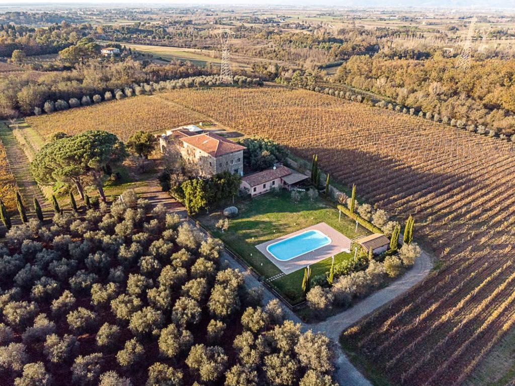 Agriturismo Gli Archi Fauglia Екстер'єр фото