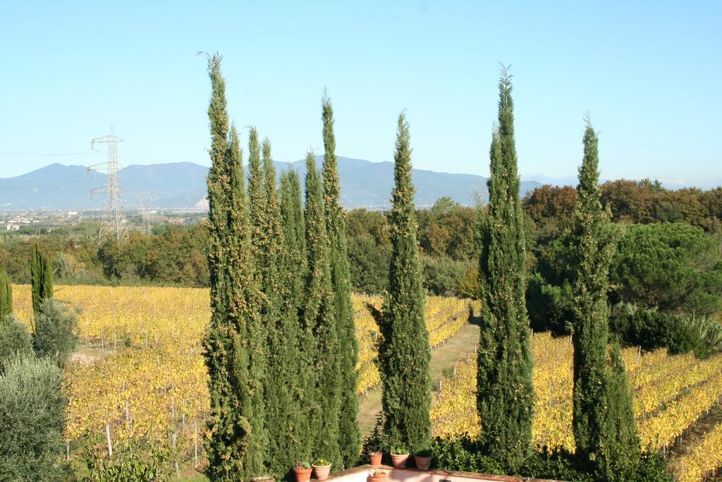 Agriturismo Gli Archi Fauglia Екстер'єр фото