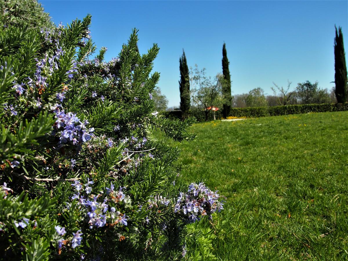 Agriturismo Gli Archi Fauglia Екстер'єр фото