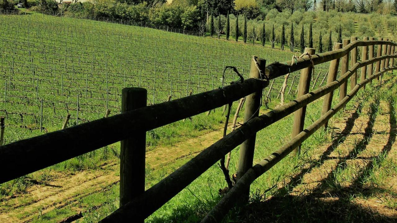 Agriturismo Gli Archi Fauglia Екстер'єр фото